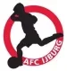 Fc-Ijburg-logo-1
