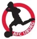 Fc-Ijburg-logo-1